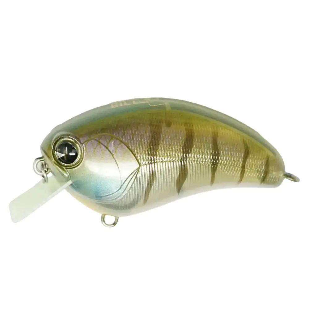Ima Square Bill Crankbait