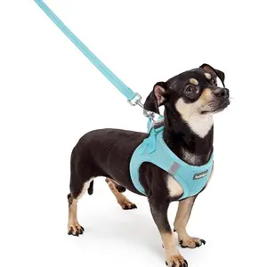 Rabbit and Dog Harness Small Size Leash Set, Step-in Lightweight Puppy Vest, Breathable Mesh Pet Harness, Reflective for Safety and Easy Walking, Mint Blue XXXS