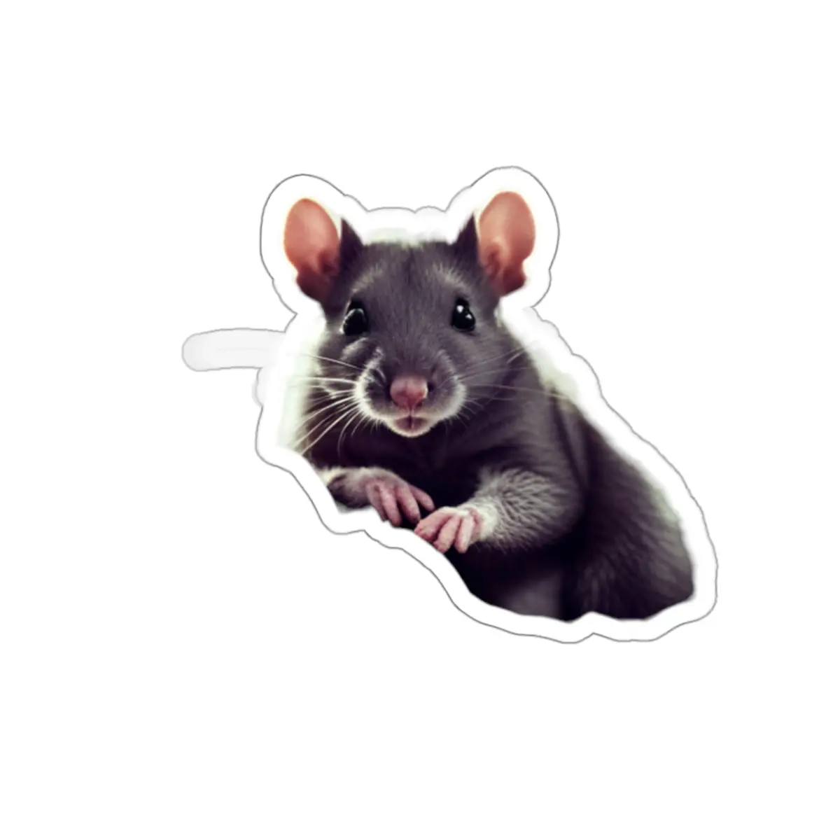 Marcello's Pet Rat Stickers