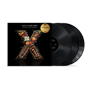Soul In The Horn - The 10 Year Anniversary Deluxe Edition (3xLP)
