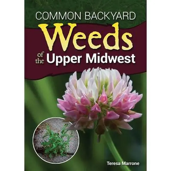 Used - Common Backyard Weeds of the Upper Midwest (English Paperback) by Teresa Marrone - For Beginners & Experienced Home Gardeners, With Hundreds of Full-Color Photographs Covering Control and Beneficial Uses