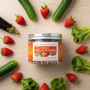 200g Granular Boron Calcium Magnesium Trace Element Fertilizer for Universal Plant Care, Slow-Release and Water-Soluble Formula for Fruits Vegetables Flowers and Farm Crops, Improves Nutrient Uptake and Plant Resilience