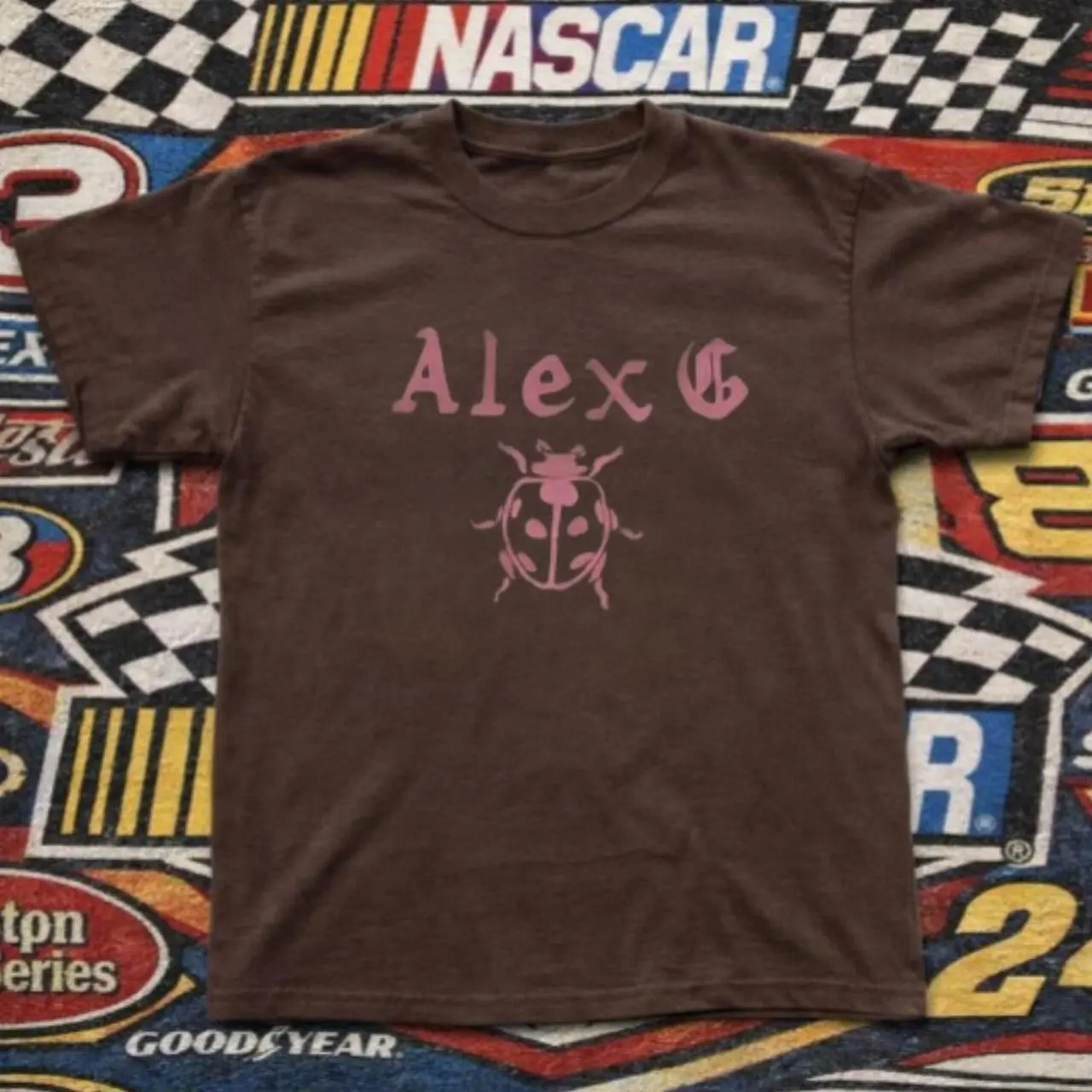 Alex G T-shirt | Vintage Alex G Pink Ladybug Band Merch Graphic Tee, Retro Indie Rock Music Shirt, Loose Fit Top