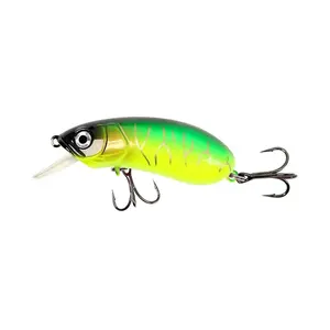 Lifelike Design Minnow Fishing Lures, 2-Pack 5cm 8g Slow Sinking Hard Body Swimbait with Multiple-G for Bass, Freshwater & Saltwater Fishing