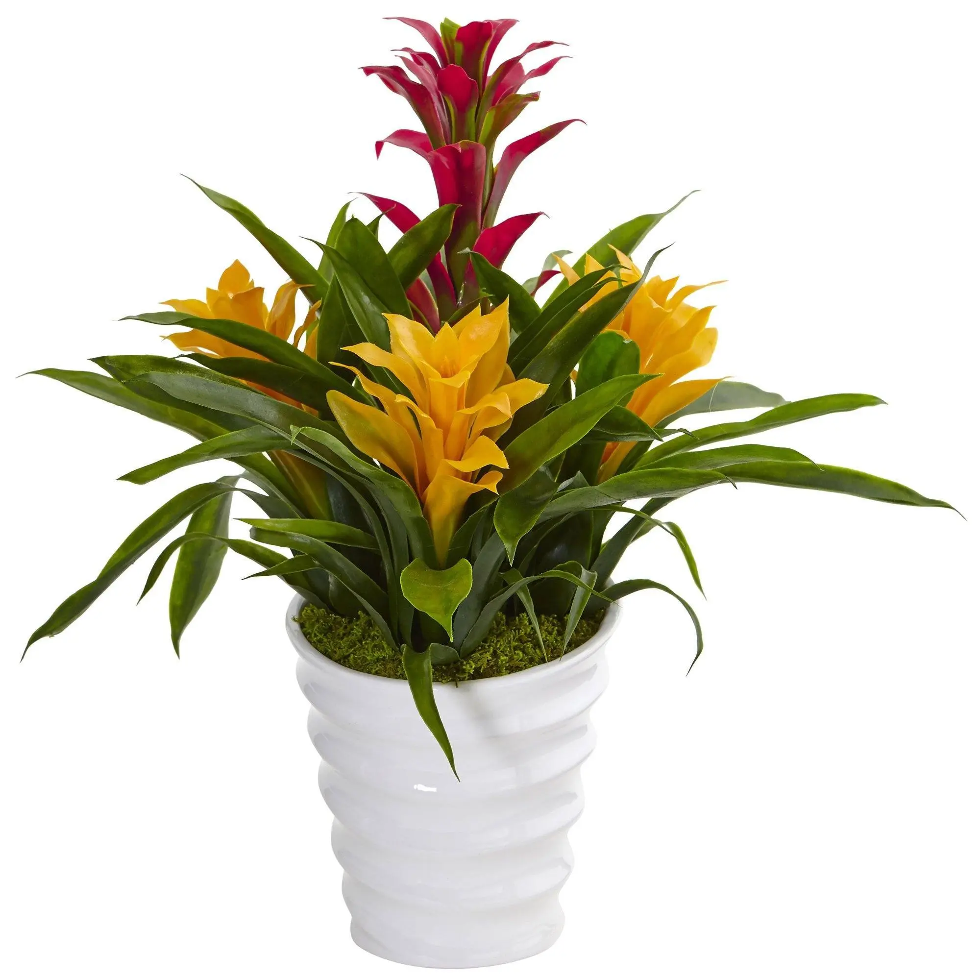 Bromeliad Decorative Plant in Glossy White Swirl Vase - Home Decor Centerpiece for Table & Room Use, Bromeliad Plant