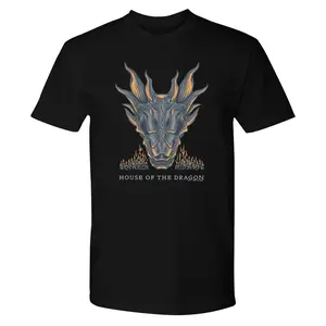 House of the Dr#gon, House of the Dragon Dragon  Short Sleeve T-Shirt, Bookworm Shirts, Dragonriding, Gift for him and her