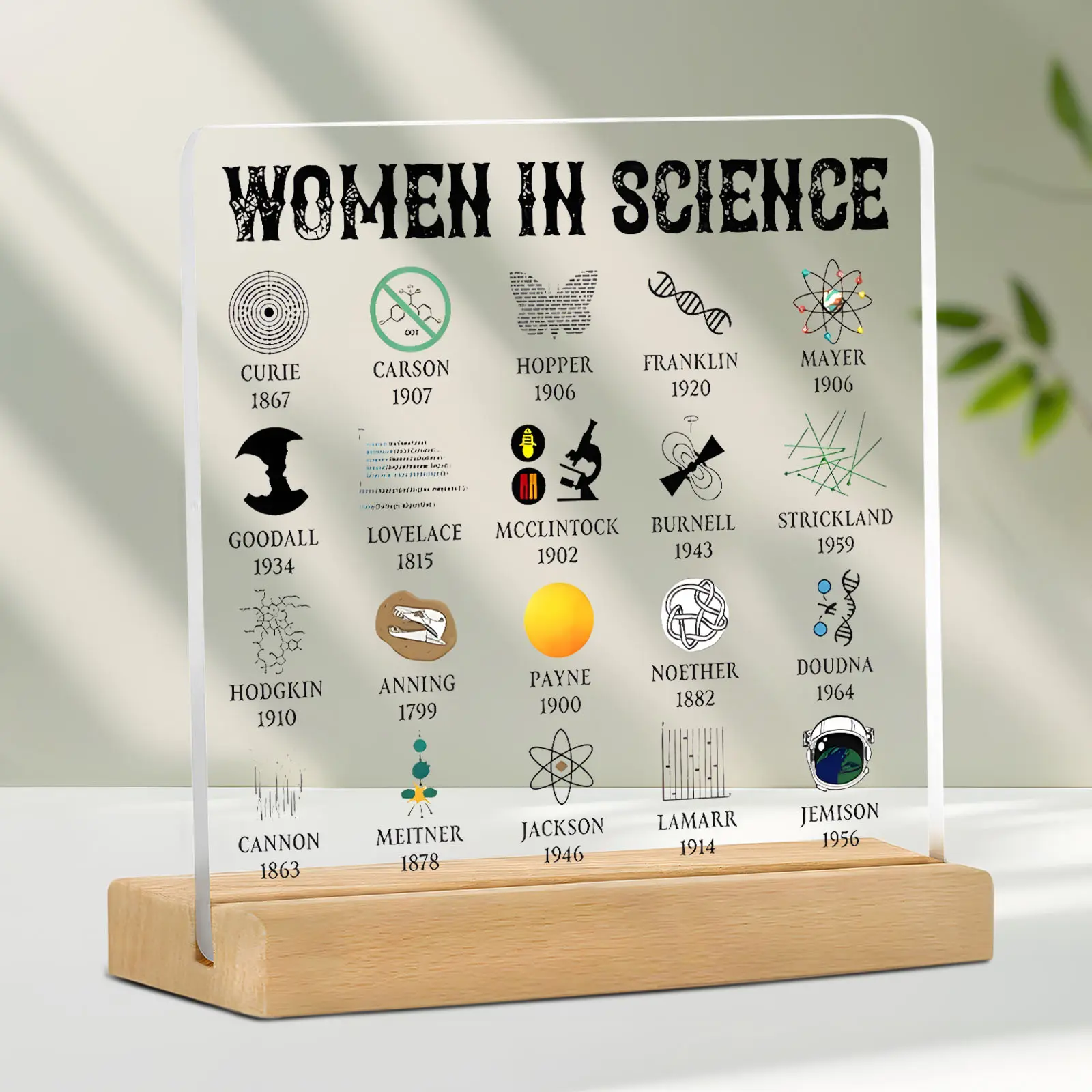 Unique Science Gift for Science Teachers, Birthday Gift for Science Enthusiasts, Woman Scientist Desk Decor for Home Office, Vintage Plaque Decor, Acrylic Plaque Sign