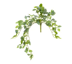 Vickerman 29" Green Fittonia Bush UV
