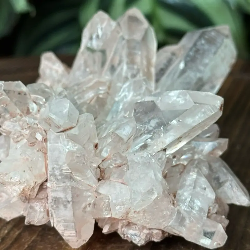 Optical Pink Colombian Lemurian Quartz Cluster