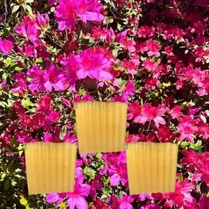 Turmeric Honey & Lemon Face Soap