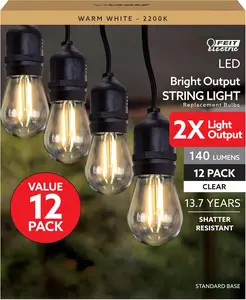 S14 LED Filament Light Bulbs, High Output, 2200K Warm White, 140 Lumens, String Light Replacement Bulbs, 15,000-Hour Lifespan, Clear Durable Housing, S14HO/822/FIL/12, 12 Pack