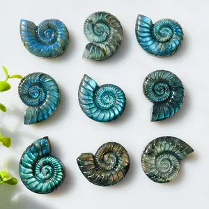 Strong Flash Labradorite Ammonite Ammonoid Carving High Quality Natural Healing Crystal Gorgeous Stone Gemstone Jewelry Energy Love Girlfriend Boyfriend Souvenir Valentine Anniversary New Year Christmas Halloween Birthday Gift