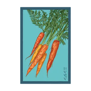 Carrot Vegetable Seeds Packet