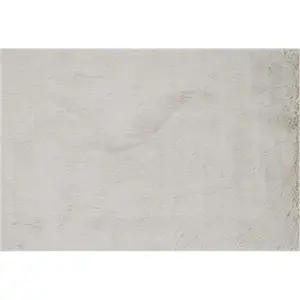 212 MAIN Ultra-Soft Poly-Acrylic Shag Rug - Wildlife Motif Animal Prints, Faux Fur Weave, 3 Ft. x 5 Ft. Rectangle Size