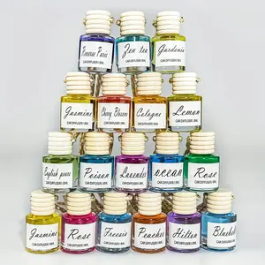 Scented Oil Diffuser, 1 Count Car Long Lasting Fragrance Hanging Air Freshener, Home Fragrance for Living Room, Bedroom, Car, Office, Car Scents