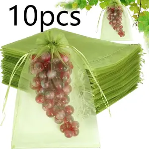 10 Fruit Protection Bags, 8x12 Inch Strawberry Net Pouch, Pest Barrier for Blueberries, Dragonfruit, Grapes, Mango, Loquat, Zucchini