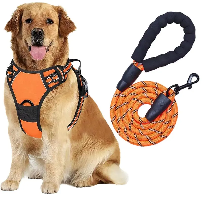 Adjustable Reflective Dog Harness, Anti-Pull Pet Vest, No Pull Harness, Easy Control for Small to Large Dogs, Durable Outdoor Pet Leash, Harness And Leash Set