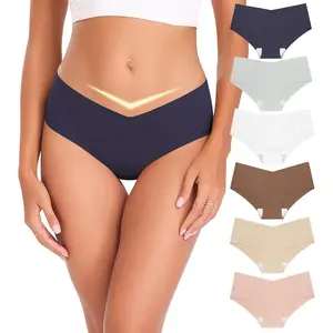 Seamless Underwear for Women No Show Panties Cheeky Bikini Underpants Soft Stretch Invisible Hipster 6-Pack Size XS-XL