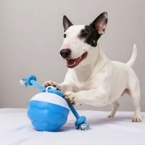 Interactive Motion Sensor Dog Toy Ball with Squeaker Active Rolling Training Toy for Daily Exercise Perfect for Dog Parties & Playdates