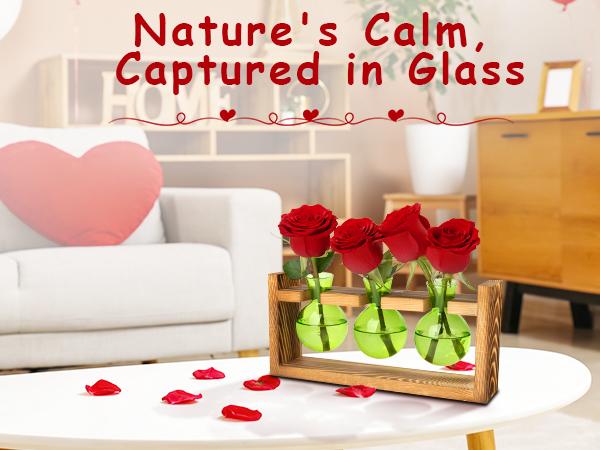 XXXFLOWER Colored Glass Plant Propagation Station 3 Bulb Desktop Flower Vase Stand Gift for Women Elegant Glass Material for Plant Lovers