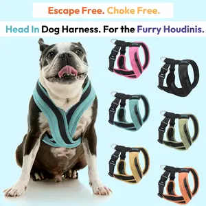 Gooby: Comfort X One Dog Harness | Best No Escape & Choke-Free Head-in Dog Harness for Tiny Toy Breeds (XXS-XS), Small & Medium Dogs. Lightweight | Breathable Mesh | Shock Absorbing | Easy to Put On with Easy Snap & Swivel Buckles | Machine Washable