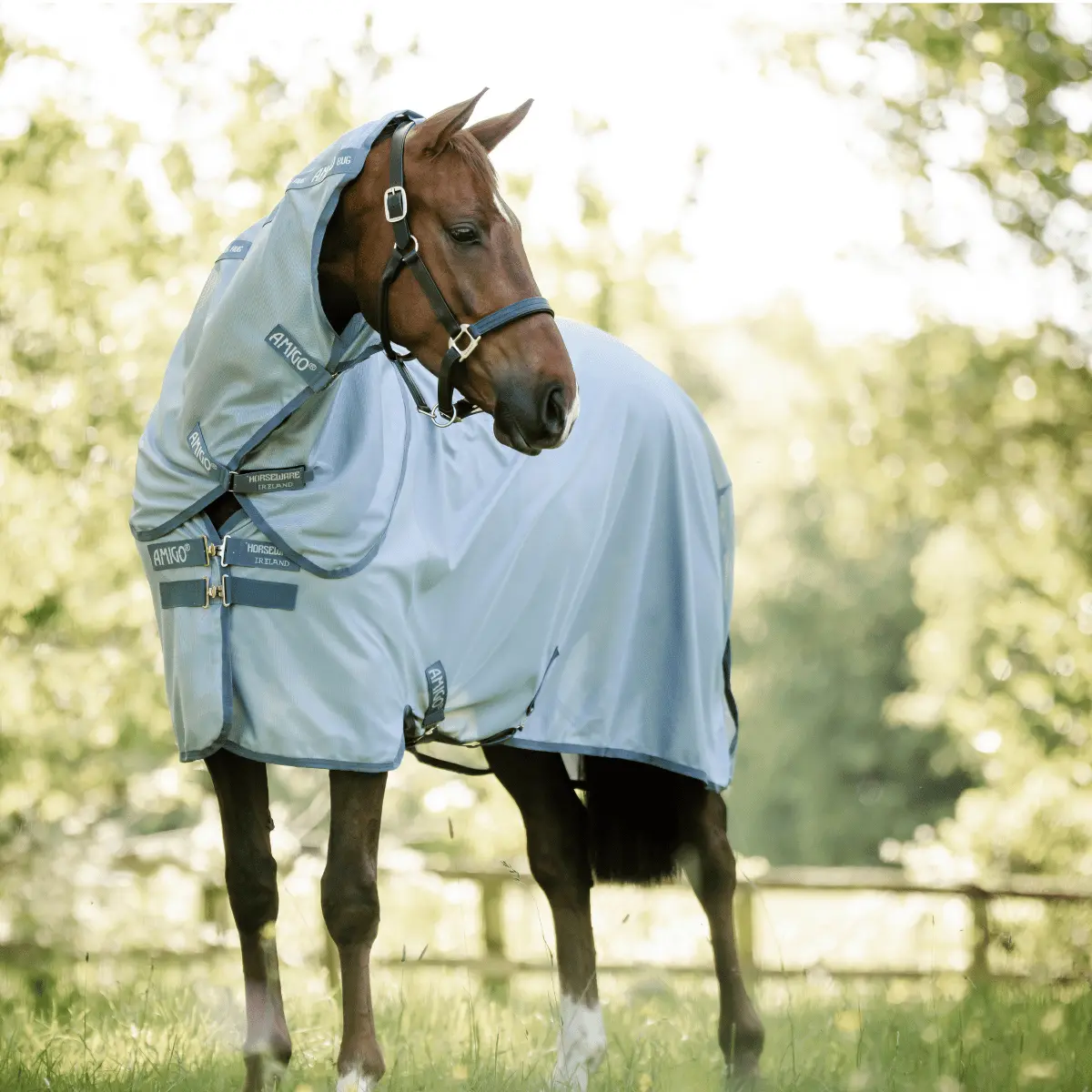 Horseware Ireland Amigo Bug Rug Plus Fly Sheet