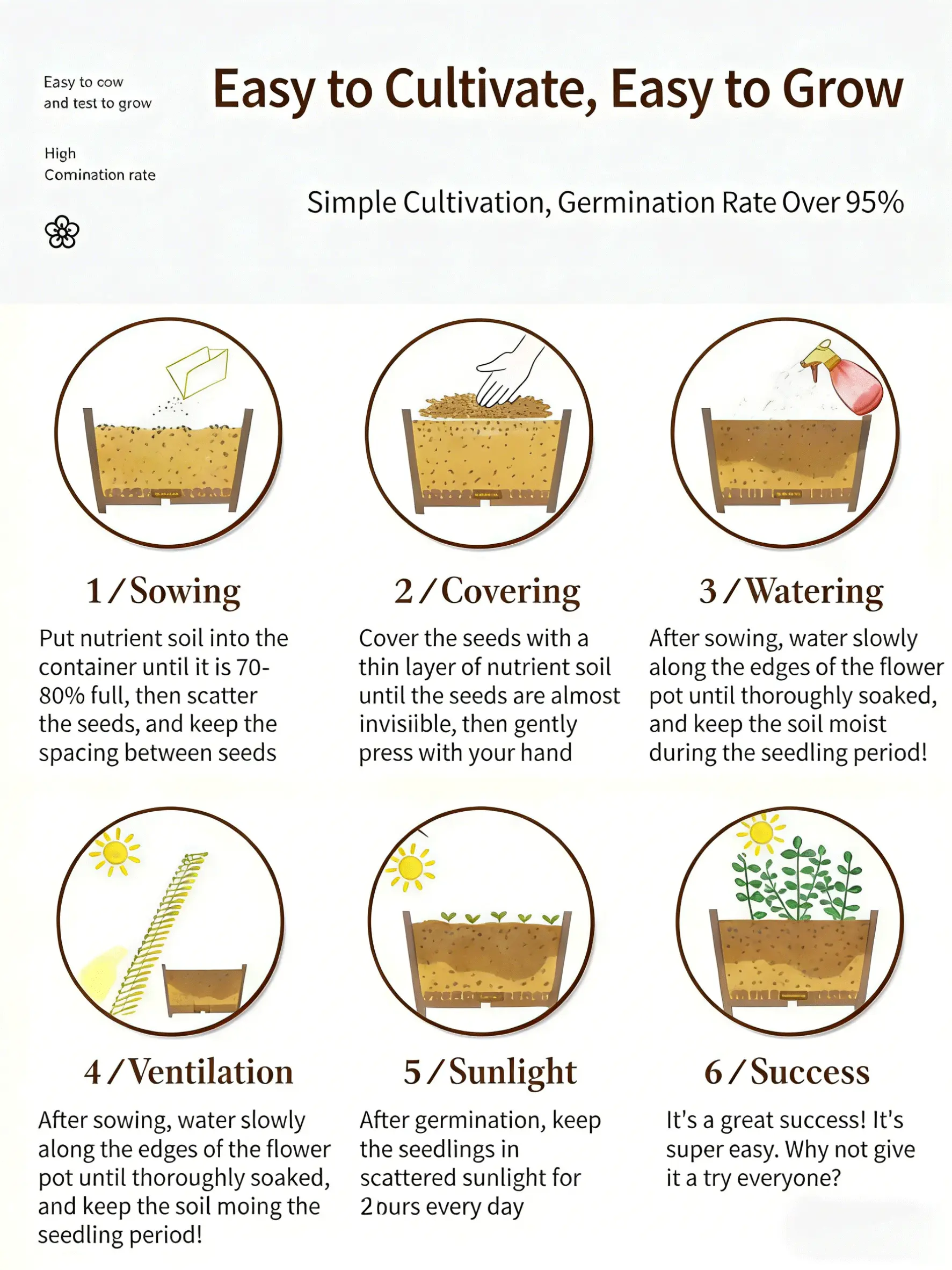 Arabian Jasmine Seeds for Planting – Easy to Grow Fragrant Flowers