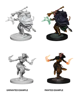 D&D: Nolzur's Marvelous Miniatures - Tiefling Female Warlock