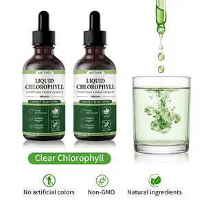 Liquid Chlorophyll Drops for Men & Women | Supports Natural Cleansing & Internal Freshness | 1500 mg Chlorophyll Supplement | Natural Mint Flavor | 2 Fl Oz | DealsForYouDays