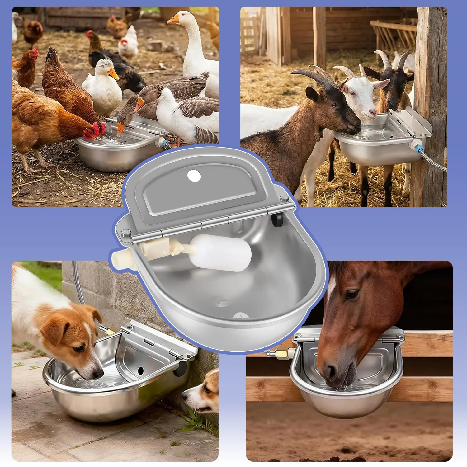 best cat litter box com Open-Top Self-Cleaning Cat Litter Box for Large Cats