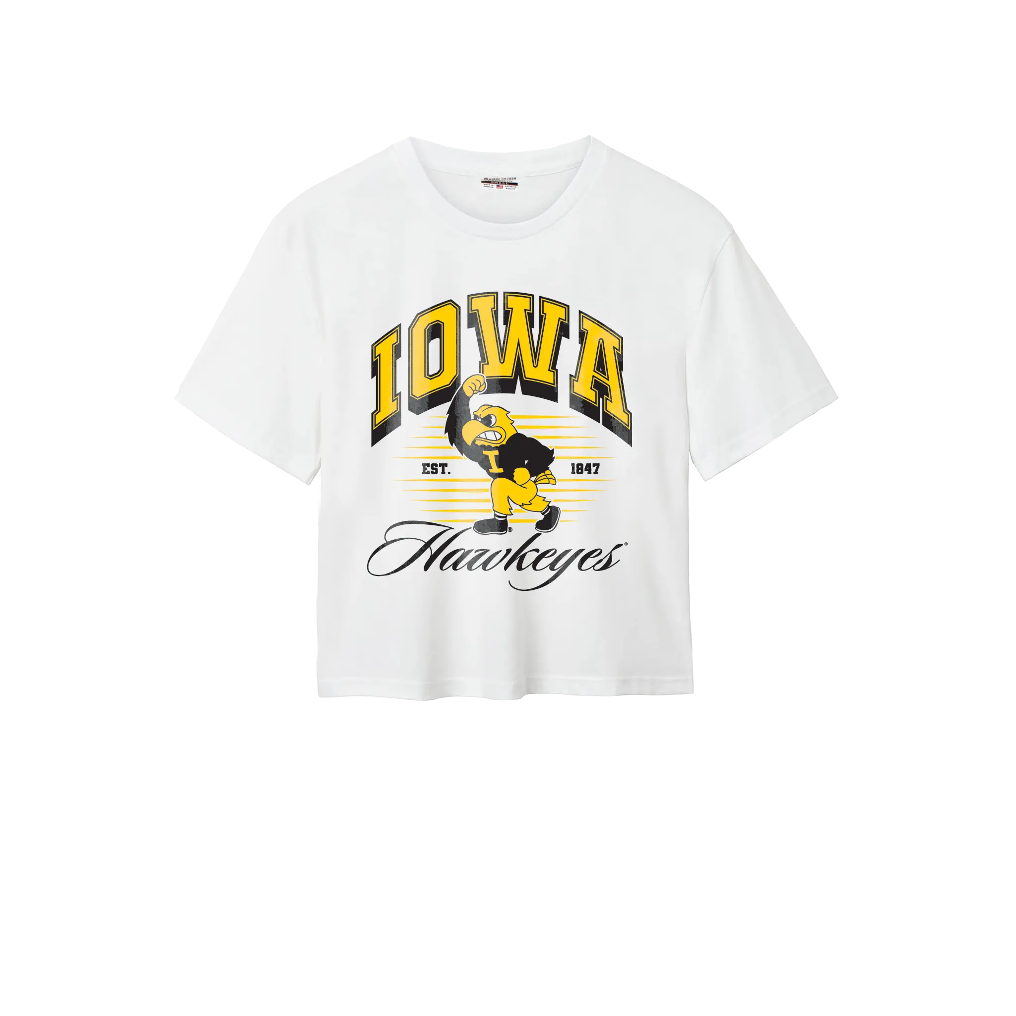 Iowa Hawkeyes Retro Mascot Cotton Easy Tee
