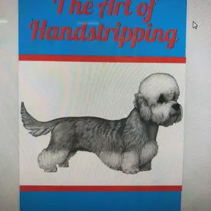 The Art of Hand Stripping