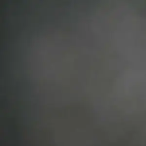 review image 4