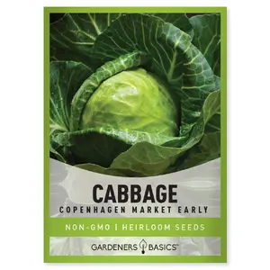 Copenhagen Market Early Cabbage Seeds