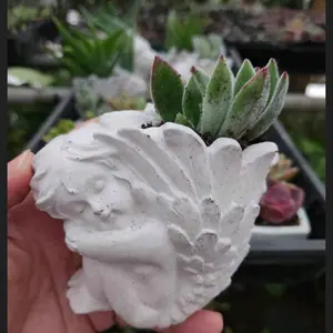 Cherub Angel Concrete Planter