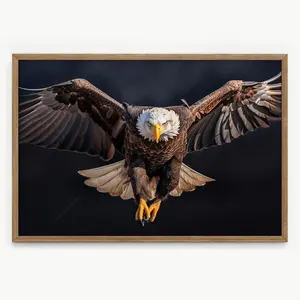 Bald Eagle poster Bird photography Wildlife shot Modern photo Nature art Gift idea Beautiful animal picture Wall art for living room Artistic Cotton Decor Print Artwork Matte Minimalist Ornaments Decoration posters
