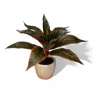 Artificial Aglaonema Plant from Water Free Greenery outdoor