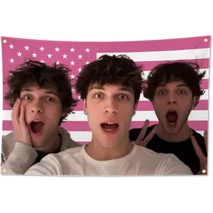 Funny Triplets Flag 3x5 Ft Home Decoration Funny Sturniolo Flag for Bedroom Living Room College Dormitory Headboard Background Outdoor Decoration