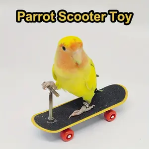 Bird Toys Mini Skateboard Bird Training Toys Skateboard Supply Parrot Claw Grinding Toys to Parrot Birds