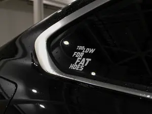 Too Low For Fat Hoes Premium Vinyl Stickers Vehicle Exterior Decoration