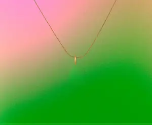 Venus Necklace