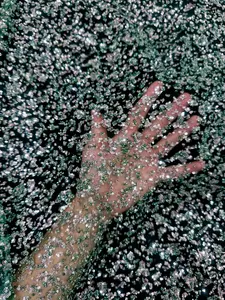 Green-Silver Beaded Sequin Lace