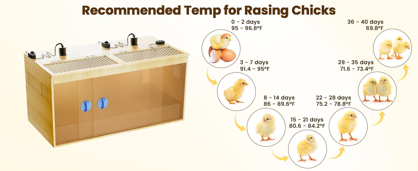 32 Inch Large Wooden Chicken Brooder Box, 75W Heat Lamps, Thermometer, Chicken Feeder & Waterer Set, Tin Foil, Ideal for 12-15 Newborn Chicks Ducks Quails, Brooder Box for Chicks
