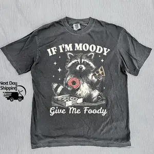Retro Raccoon If I'm Moody Give Me Foody Shirt, Vintage Raccoon Meme T-Shirt, Washed Distressed Tee,  Funny Women Tee, Teenager Gift BIO