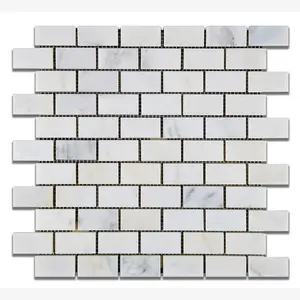 Calacatta Prestige (Asian Statuary) 1x2 Polished/Honed Tile