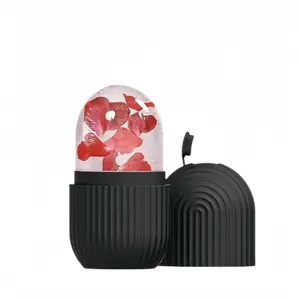 Ice Roller for Face and Eye Glow Naturally and Skincare, Ice Face Roller, Ice Facial Cube, Gua Sha Face Massage, Ice Roller Face for Beauty and Skin Care Gift for Men & Women Face Ice Roller lifting grid puffiness relief