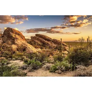 Desert Mountain Reptile Tank Background Sunset Rock Mountain Gobi Aquarium Background Blue Sky Gobi Barren Thorns Mountain Reptile Enclosure Backgrounds Cactus Mountain Fish Tank Backgrounds 36x18in