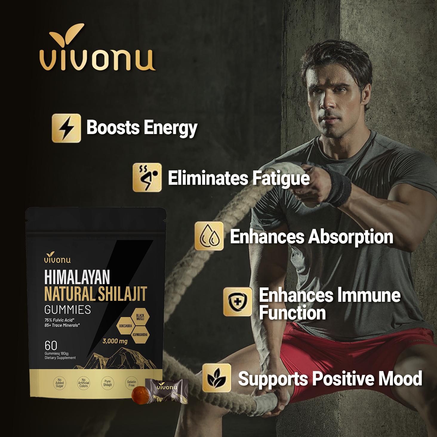 Himalayan Shilajit Energy Gummies with Ashwagandha & Gokshura | Stress Relief & Vitality Support | 60 Sugar-Free Vegan Supplements