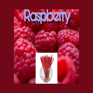 Raspberry Flavor Infused 100% Natural Raw & Unfiltered Honey Sticks Pure Natural Honey Sticks with Raspberry Taste