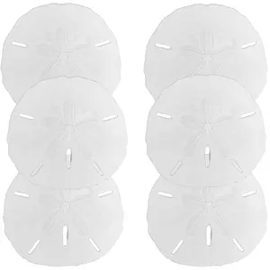 Sand Dollar Decor Sets of 10, Large Sand Dollars 4, Packed w/LOVE, Coastal Ocean Decor, Beach Wedding Decor